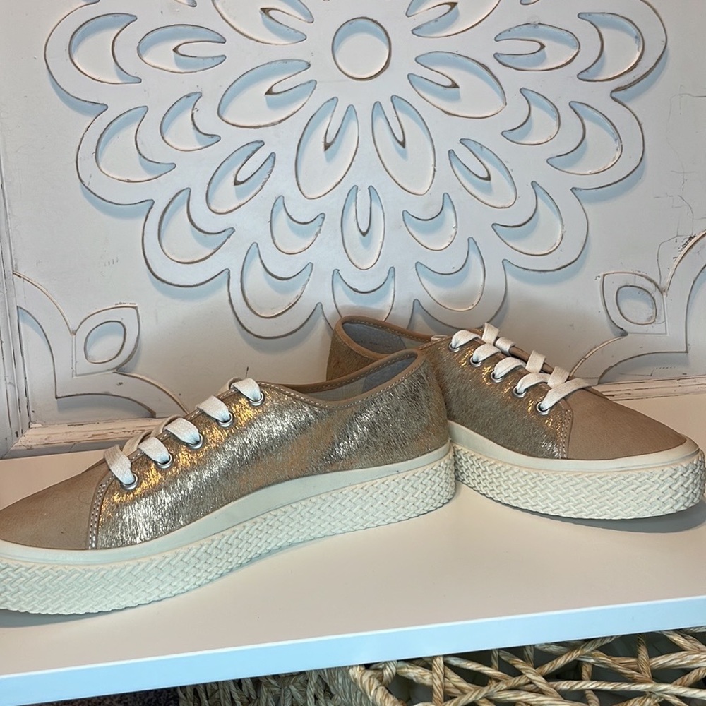 Brand New Dolce Vita Sneakers!